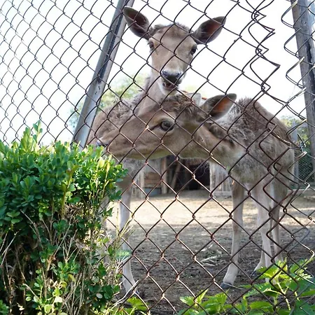 екокомплекс