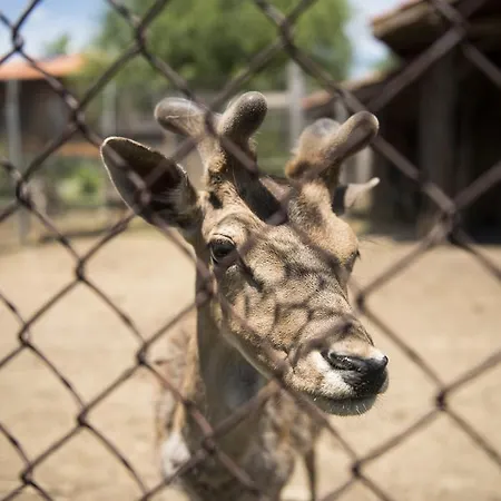 екокомплекс 3* Katunishte