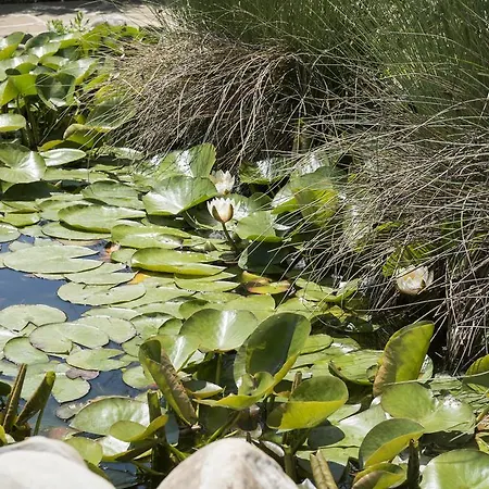 екокомплекс 3*