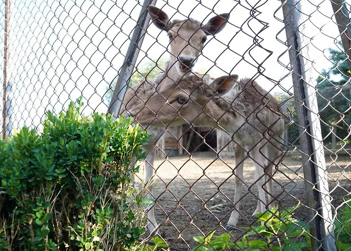екокомплекс