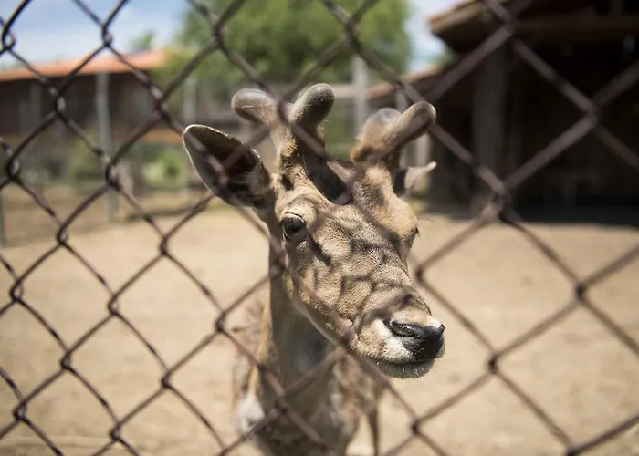 екокомплекс 3* Katunishte