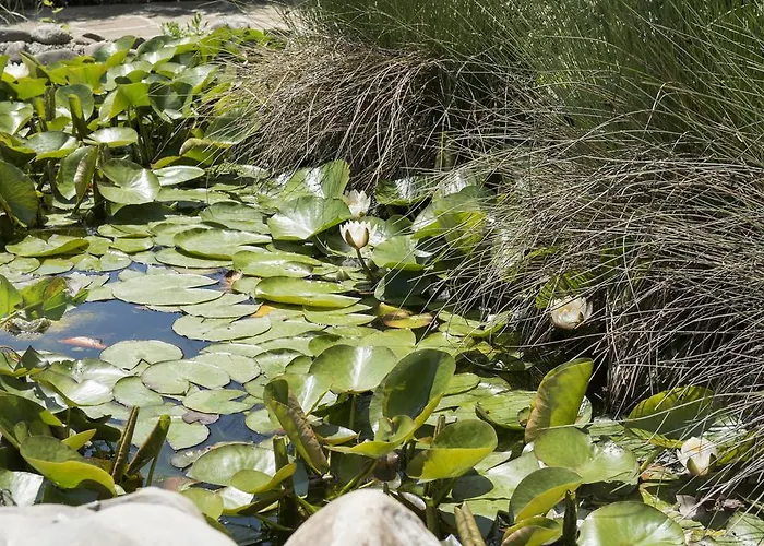 екокомплекс 3*