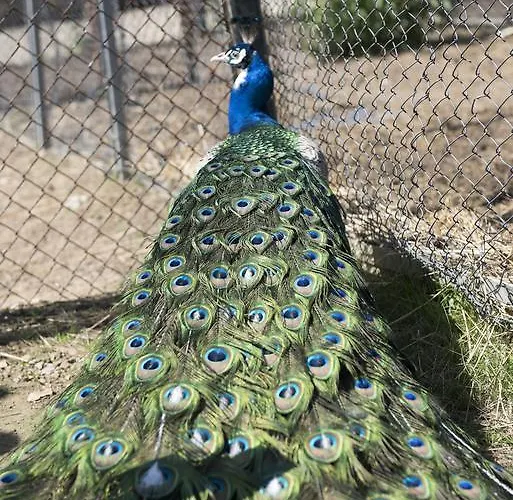 招待所 екокомплекс Katunishte